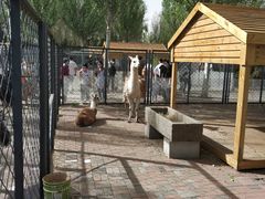 -长白岛森林公园