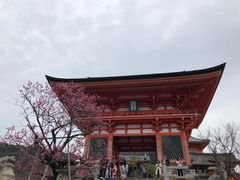 -有栖山 清光院 清水寺