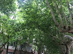 -四川农业大学(雅安校区)