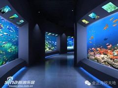 -石家庄海洋公园