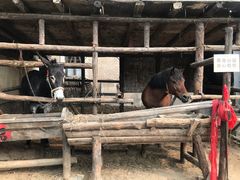 -清风小镇闯关东影视基地