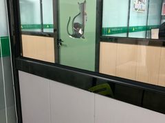 -半岛宠物医院24小时(科华中路店)