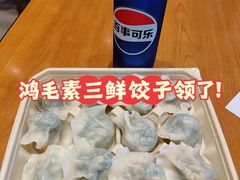 -鸿毛饺子(紫竹桥店)