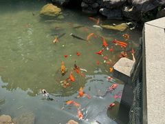 -龙宫洞风景区
