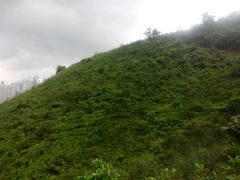 -狮子山郊野公园