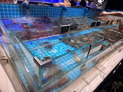 -加餐海鲜自助(集美银泰百货店)