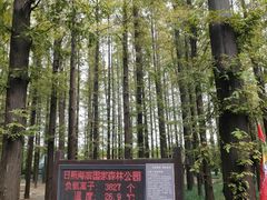 -日照海滨国家森林公园