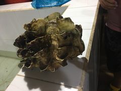 -海盗餐厅