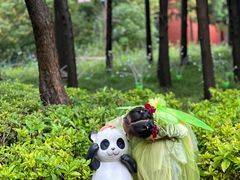 -无锡融创乐园