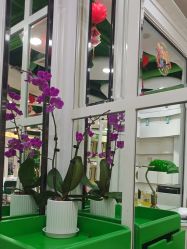 -艺米阳光Hair Salon