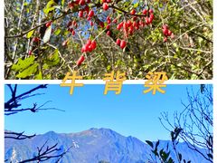 -牛背梁国家森林公园