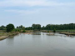 -溱湖国家湿地公园