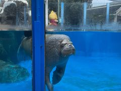 -海合安成都极地海洋公园