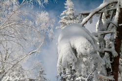 -大秃顶子山(雪谷店)