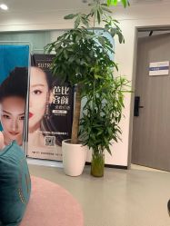 -联合丽格·张菡丽格医疗美容