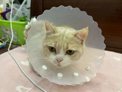 -拜鲁耶动物诊疗中心·宠家动物医院