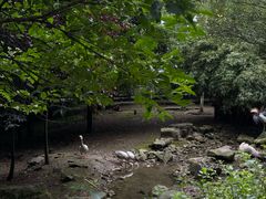 -黔灵山公园