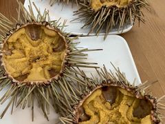 生海胆-海胆小馆(东北水饺·春柳店)