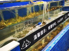 水产区-圣罗巴海鲜自助(黑金店)