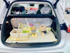 -上海浦东smart汽车全功能店(金桥店)