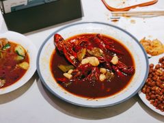 -杨氏青龙虾·羊蝎子(托乐嘉店)