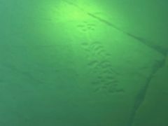 -白鹤梁水下博物馆