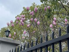 -武汉交通职业学院