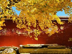 -北京石刻艺术博物馆(五塔寺)