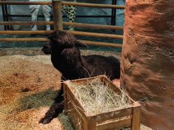 -Zoolung Zoolung动物主题公园(海信广场店)