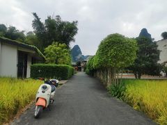-明仕田园