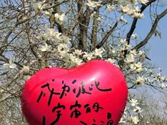 -睦南公园