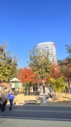 -福州儿童公园