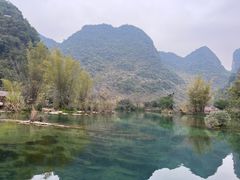 -靖西鹅泉风景区