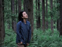 -黄海国家森林公园