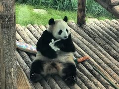 -大连森林动物园