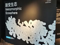 -现代汽车文化中心 Hyundai Motorstudio Beijing