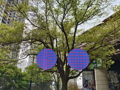 -瑞虹新天地月亮湾