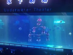 -泉城欧乐堡海洋极地世界