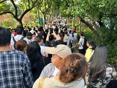 -西湖游船