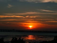 -宝安西湾红树林湿地公园