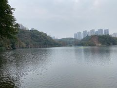 -重庆彩云湖湿地公园
