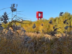 -中关村生命科学园