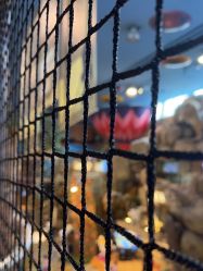 -卡通尼·Safari非洲探索乐园·生日会(金桥国际商业广场店)