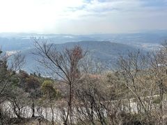 -惠山国家森林公园