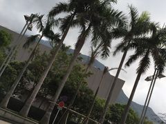 -大食代(东荟城店)