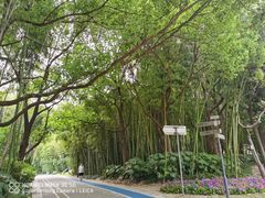 -苏州河梦清园环保主题公园