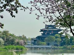 -海珠湖公园