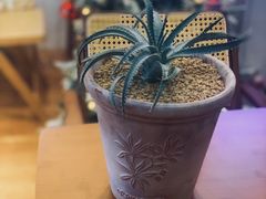 -Rabbit Cafe私房西餐甜点咖啡(栖霞路店)