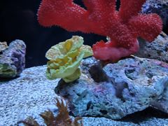 -上海海洋水族馆