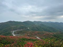 -大围山国家森林公园